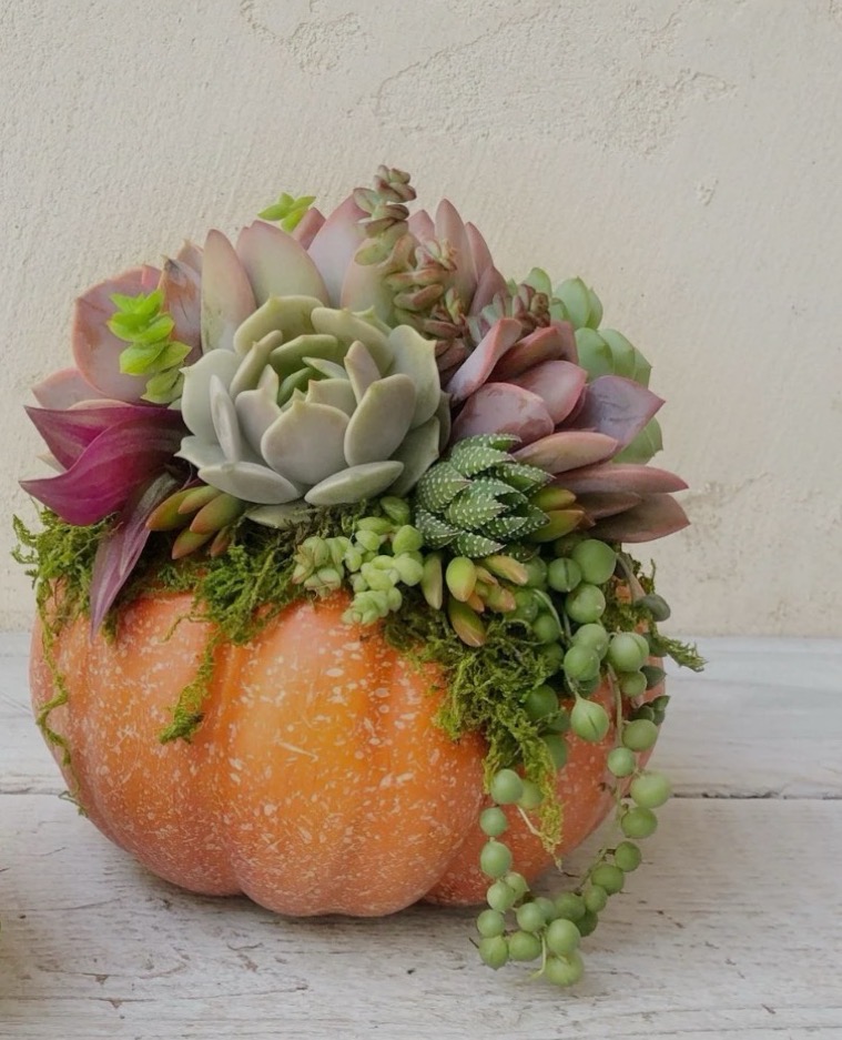 Pumpkin Radiance Facial at Skin Well & Body Balance LLC in Dallas, TX