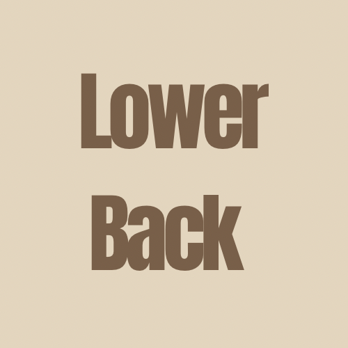 Lower Back