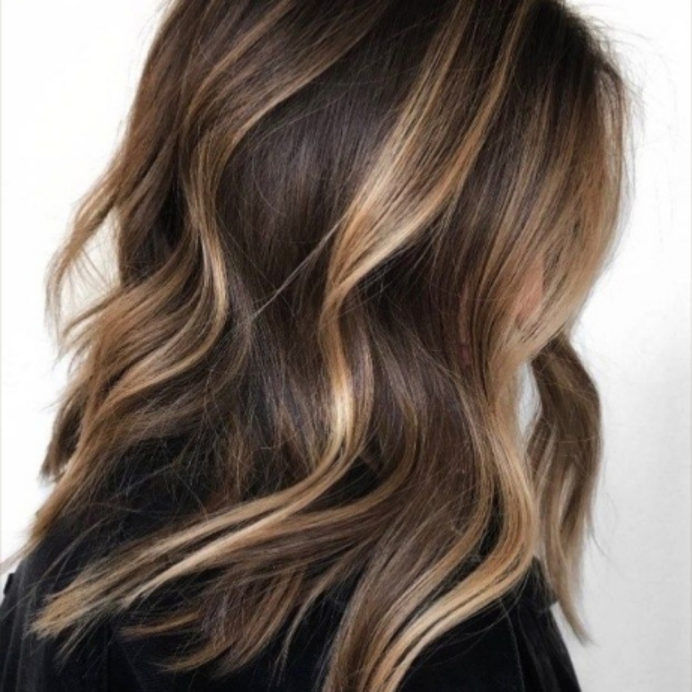 Mini Highlight at Sydney Nichole in Capitola, CA