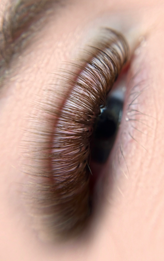 Brown Volume Lashes