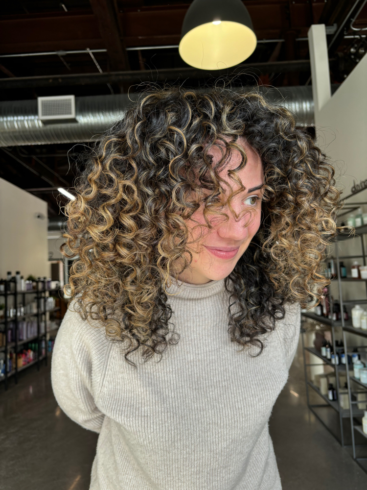 The Curly Hair Experience