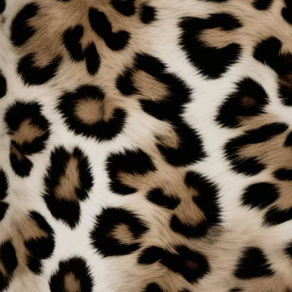 Brazillian (Back To Back) at The Twisted Angel Salon & Spa in Bloomington, IN