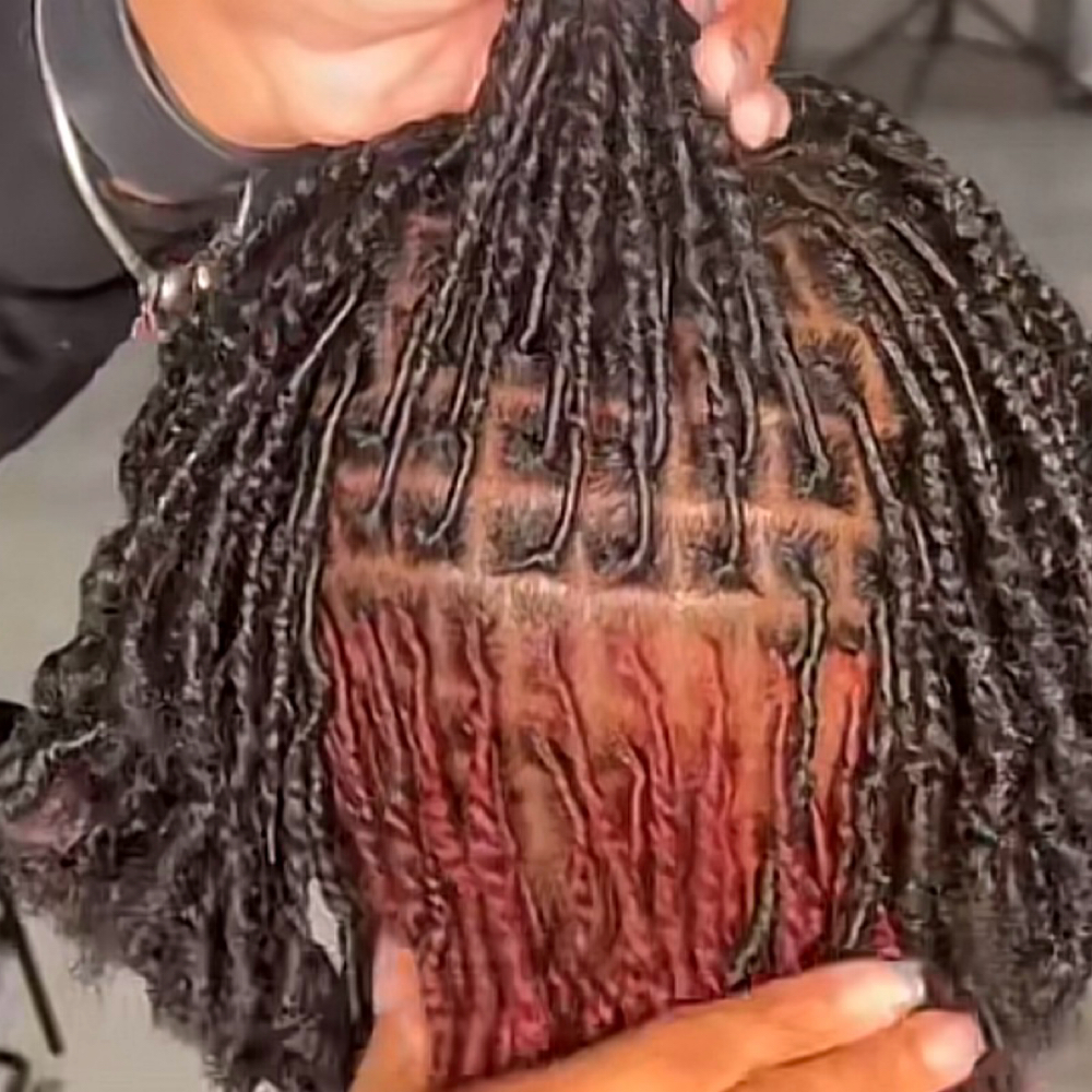 Small Beginner Locs at The Mane Aura in Columbia, SC
