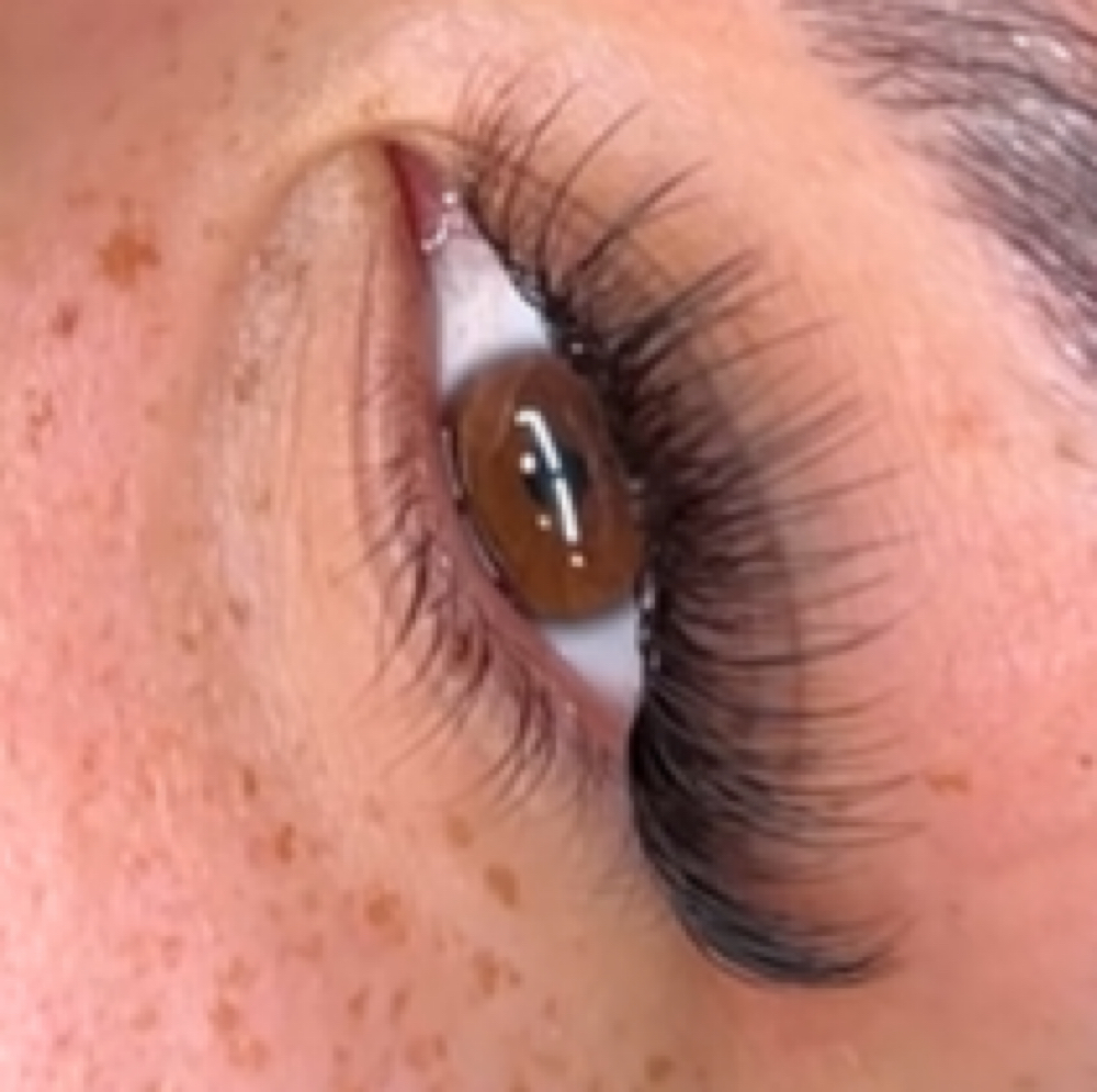 Wispy Hybrid at Wink with Andy in Hammond, IN