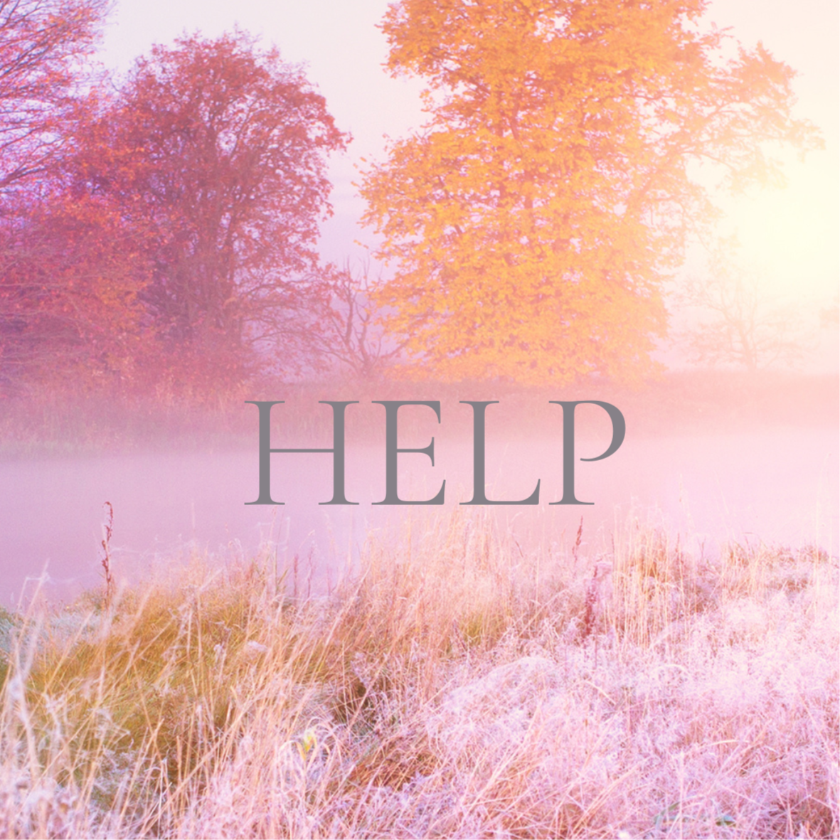 Alchemy | HELP at Alchemy | Skin in Issaquah, WA