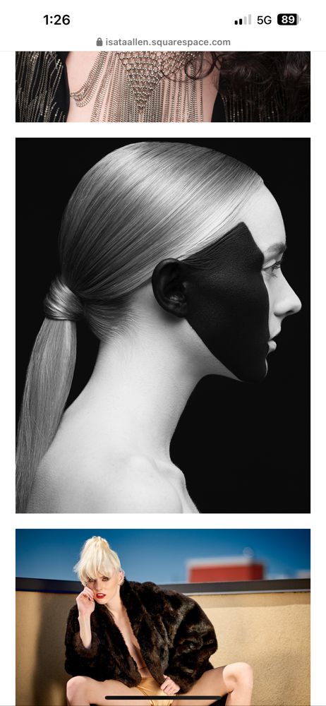 SILK PONYTAIL