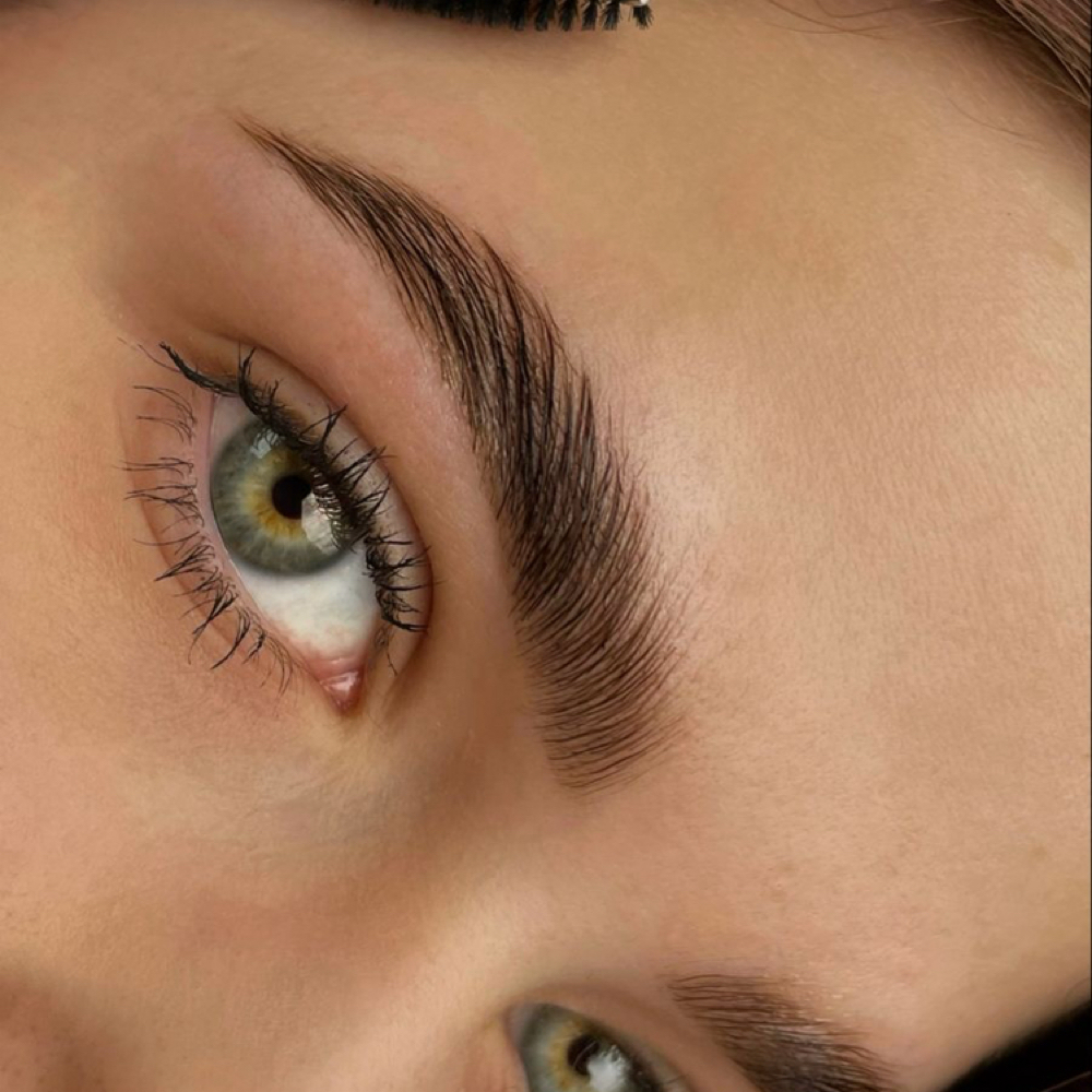Eyebrow Wax at Wildflower Wellness | Esthetics & Massage in Jackson, TN