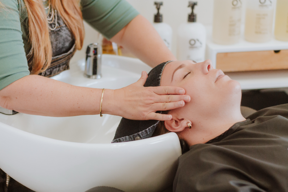 Hydrating B3 Treatment & Blowdry
