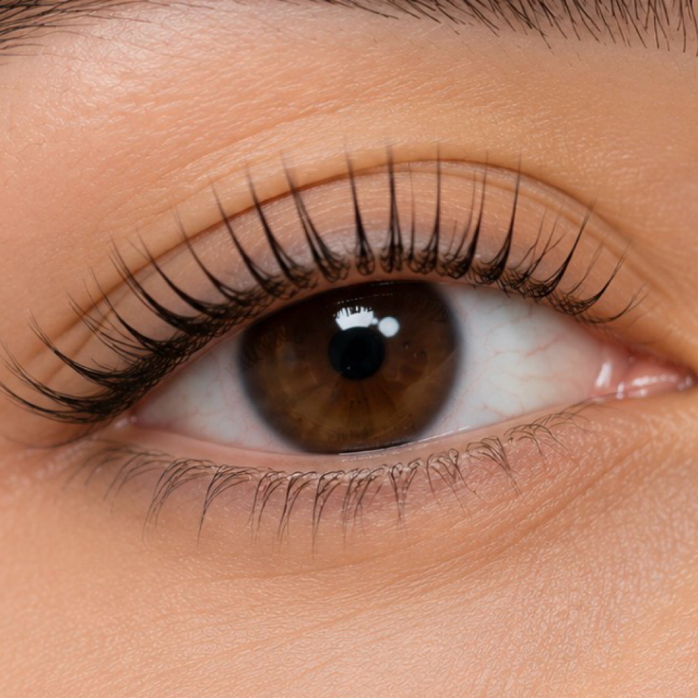 Lash Lift at THELUXSTUDIO in Bunnell, FL