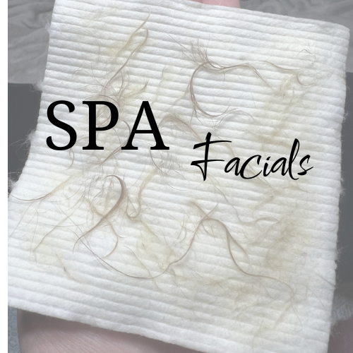 SPA Facials