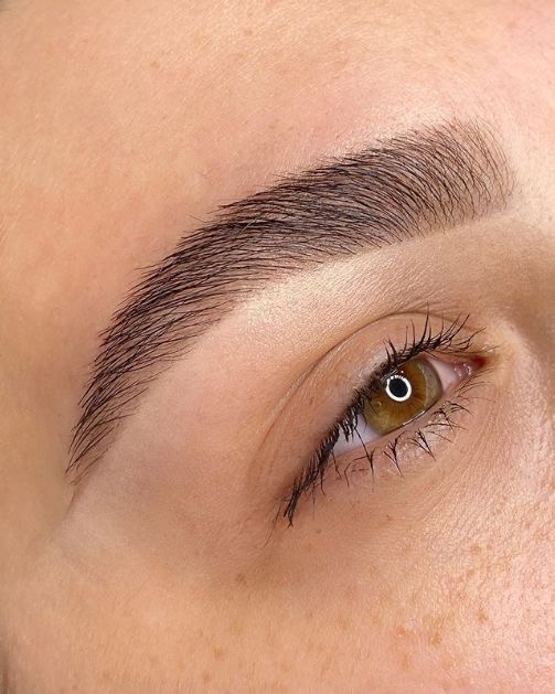 Woman’s Brows