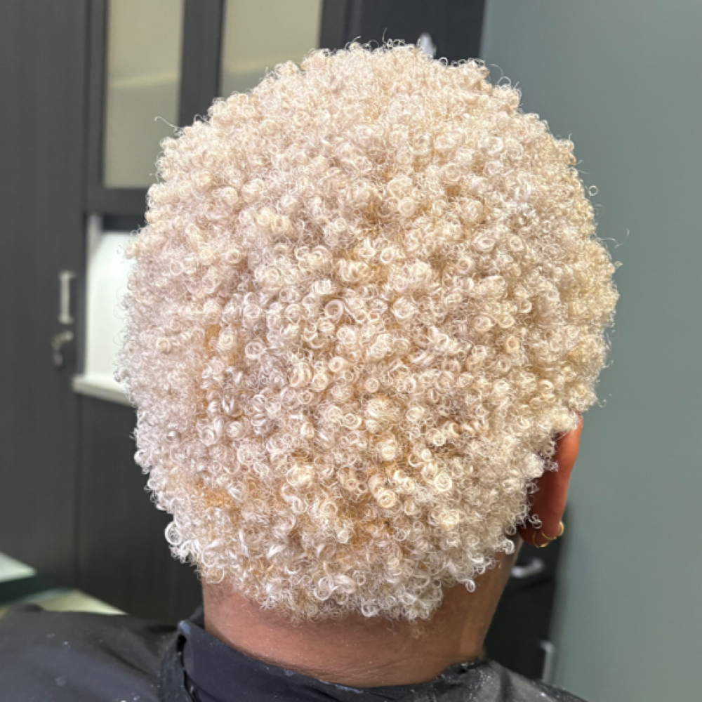 Total Blonding at Healthy Root Studio llc in Charlottesville, VA