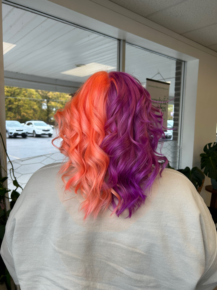 Fashion color/ Split Dye at Hair X Renee in Lockport, NY