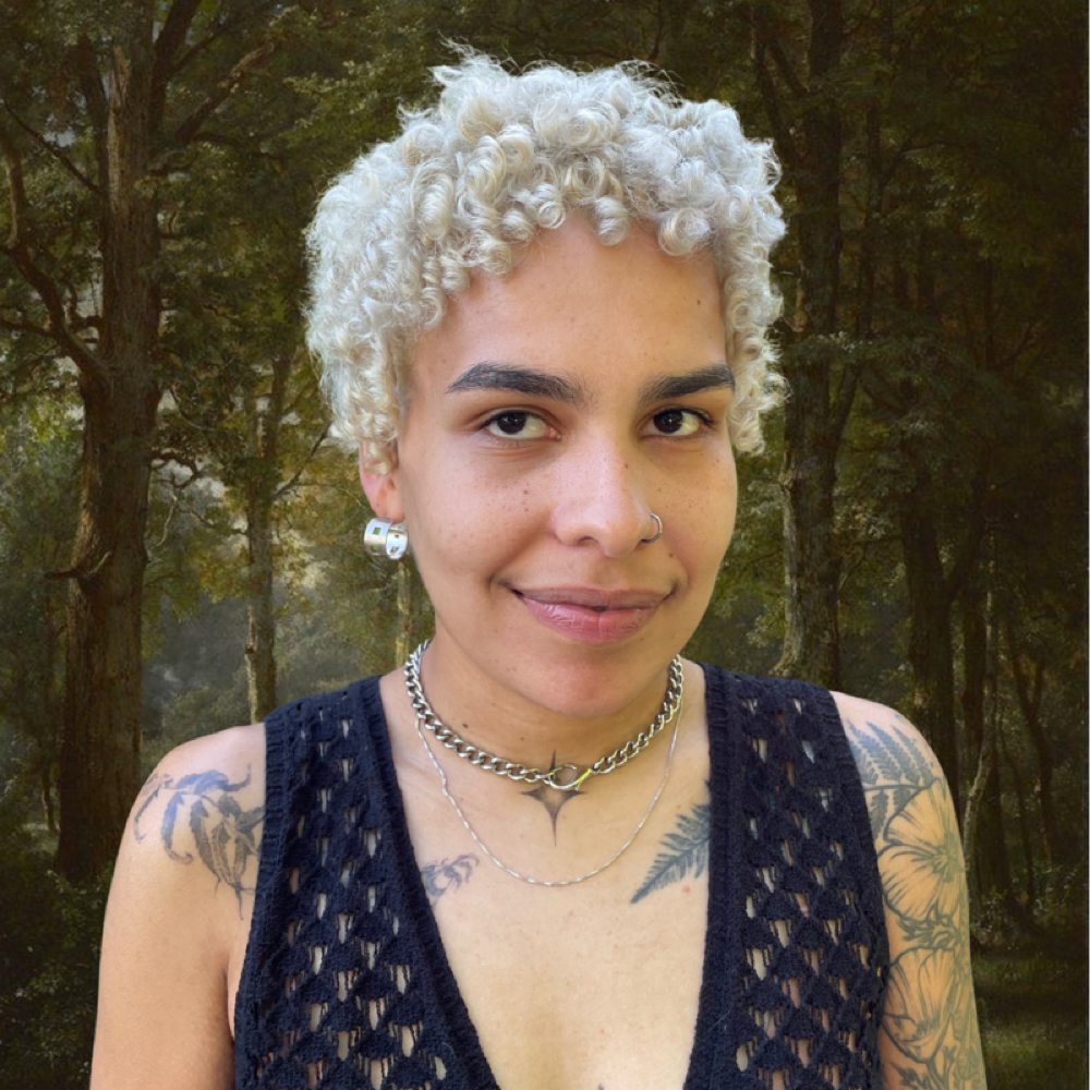 color consultion at bramblebangs in portland, OR