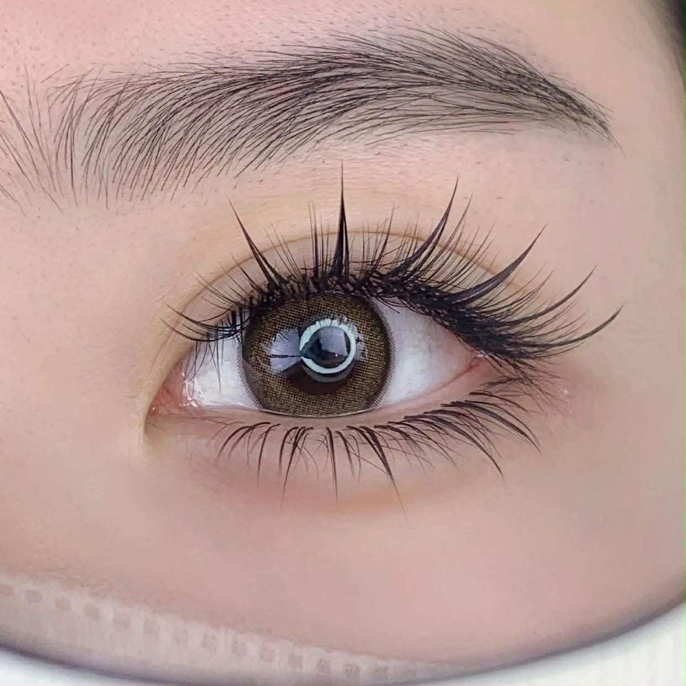 Re-lash ($75+)