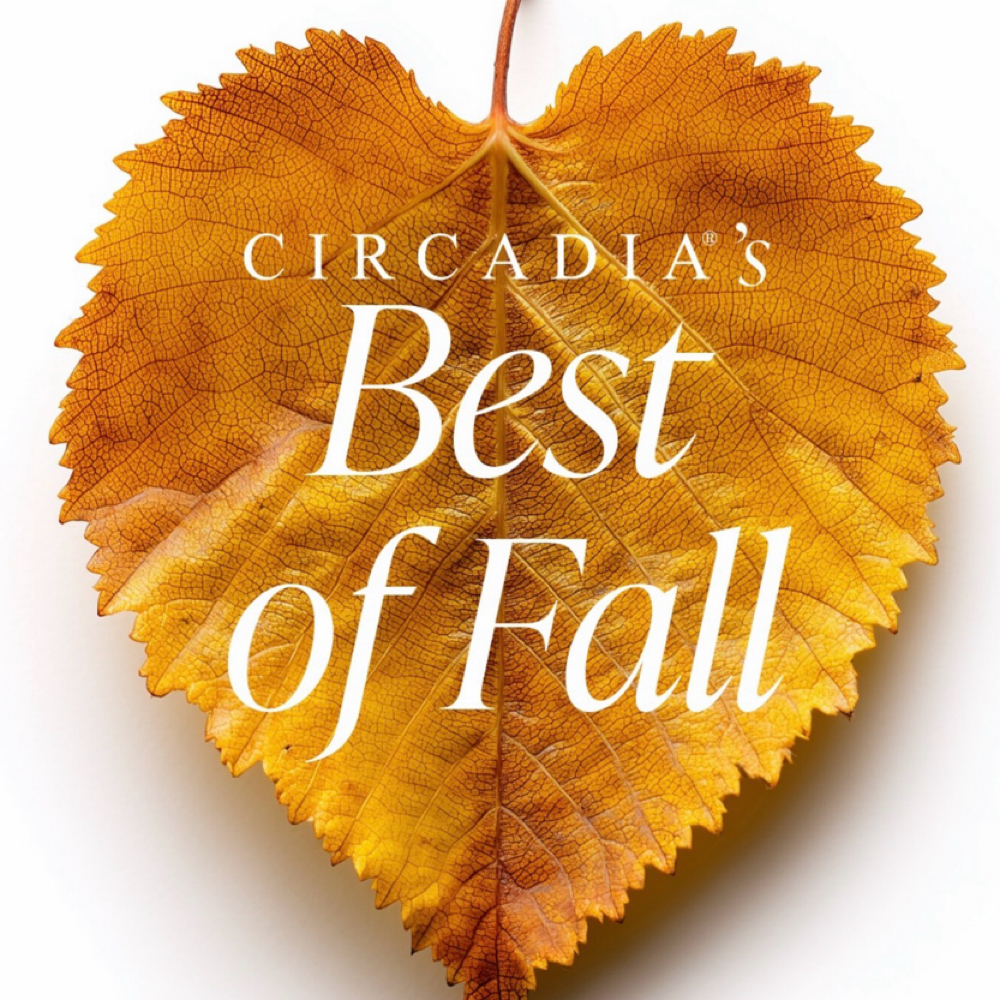 Best Of Fall Facials at Miss A Aesthetics in Enid, OK