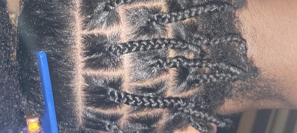 ⭐️Single plaits/twist (short)
