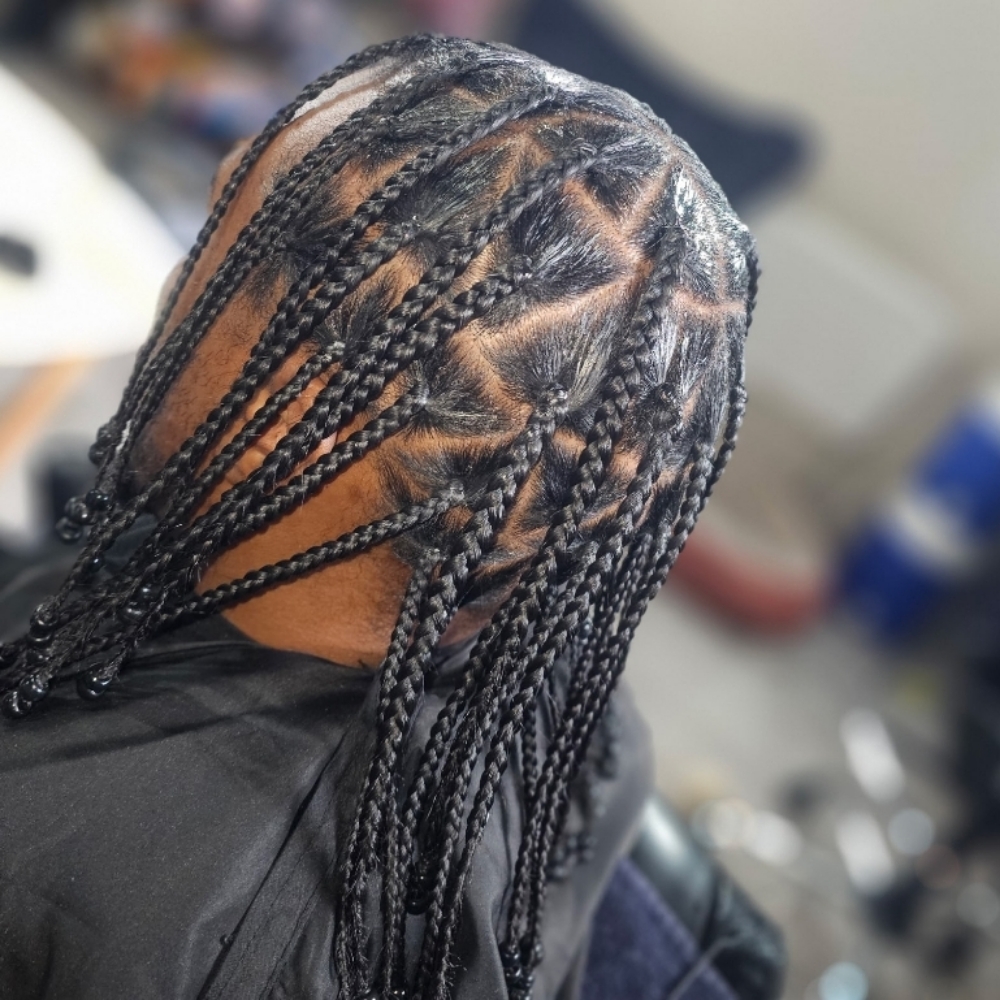Single plaits/twist at Naturally Loc'd & Loaded LLC. in New Castle, PA
