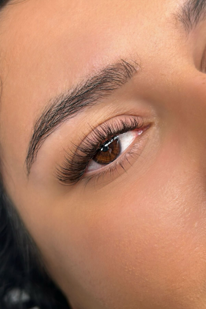 CLASSIC LASHES