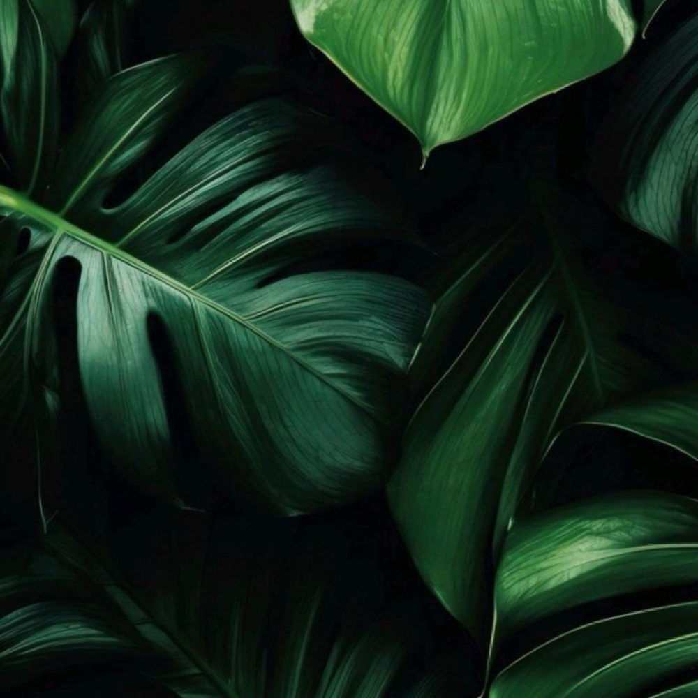 Lash Tint at Velvet Skin Esthetics in Pocatello, ID