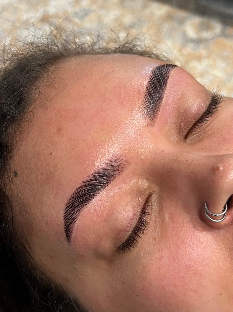Brow Lamination and Wax + Tint at Brows By April in Knoxville, TN
