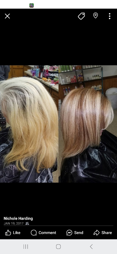 Color + Highlights