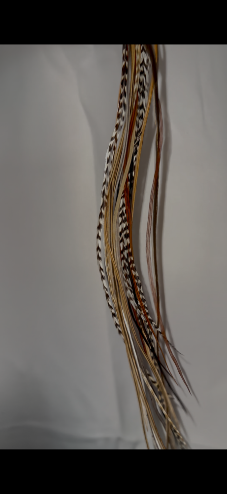 Feather Extensions✨