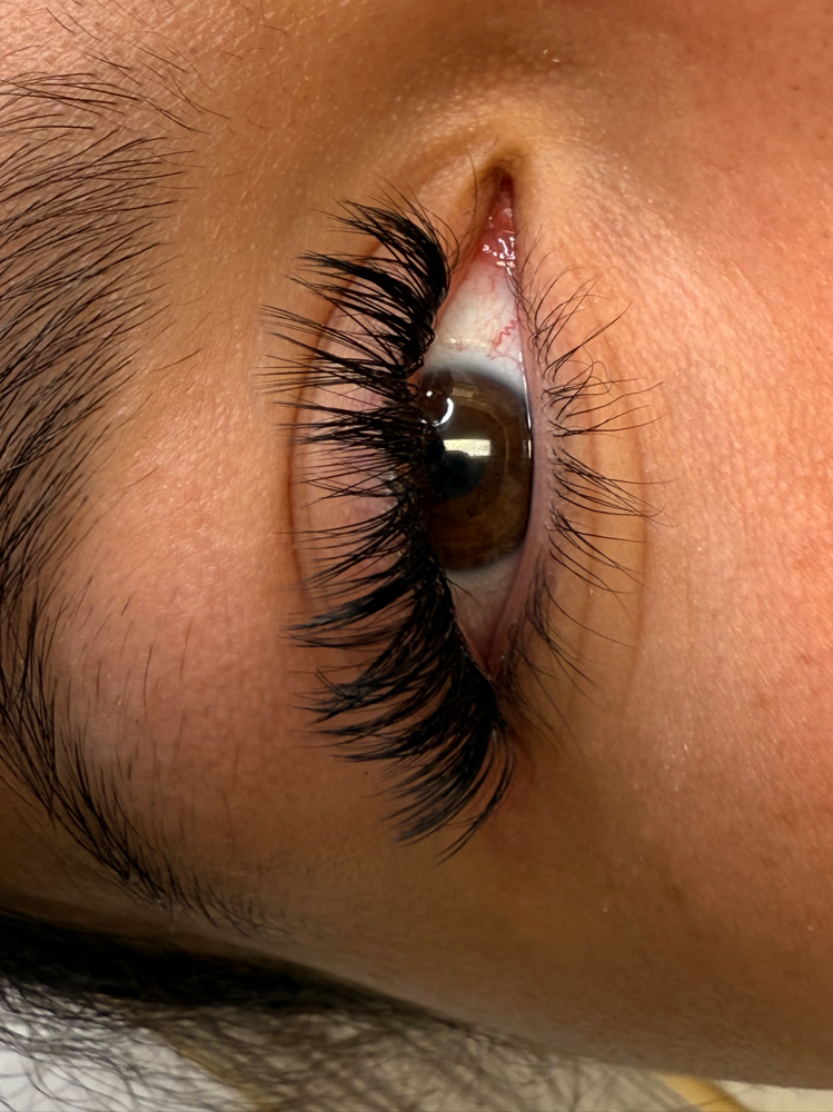 Lash Fill 2weeks