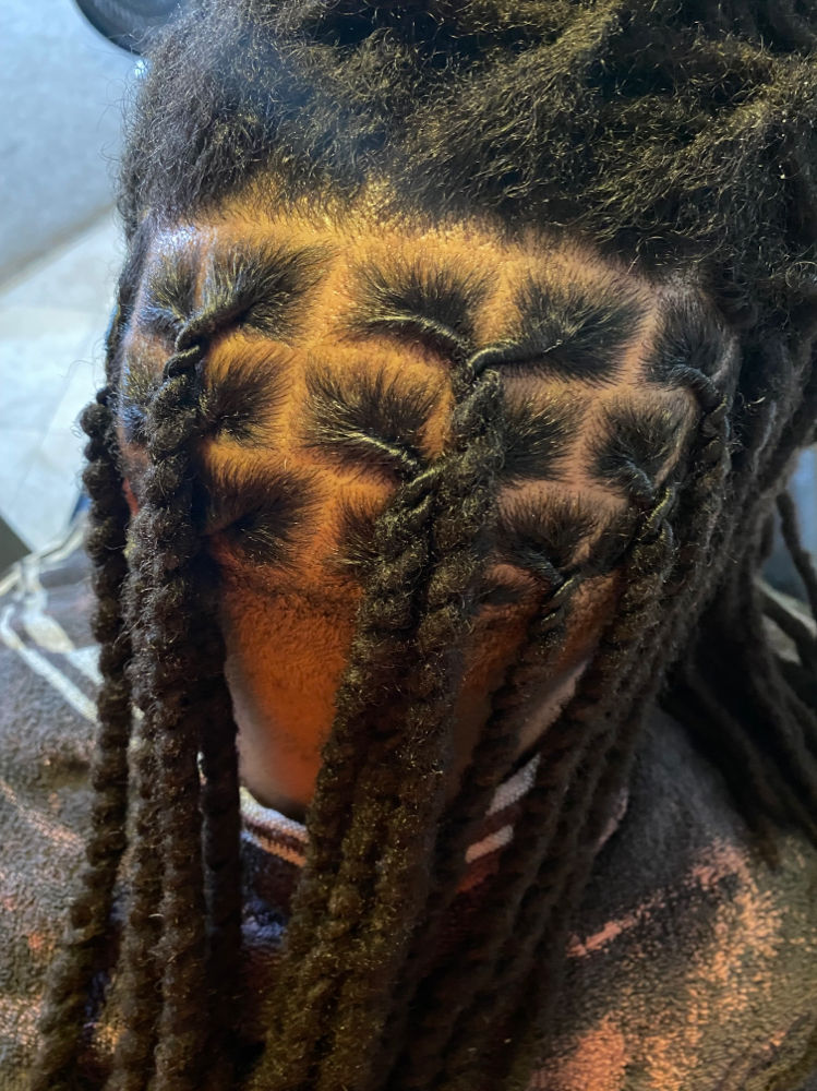 (Bk & Sides Shvd) Retwist & Dbl Std