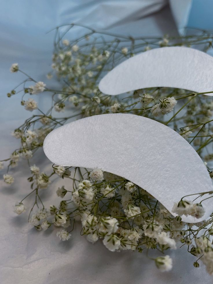 Lash Fill at Bloom Beauty Bar in Camas, WA