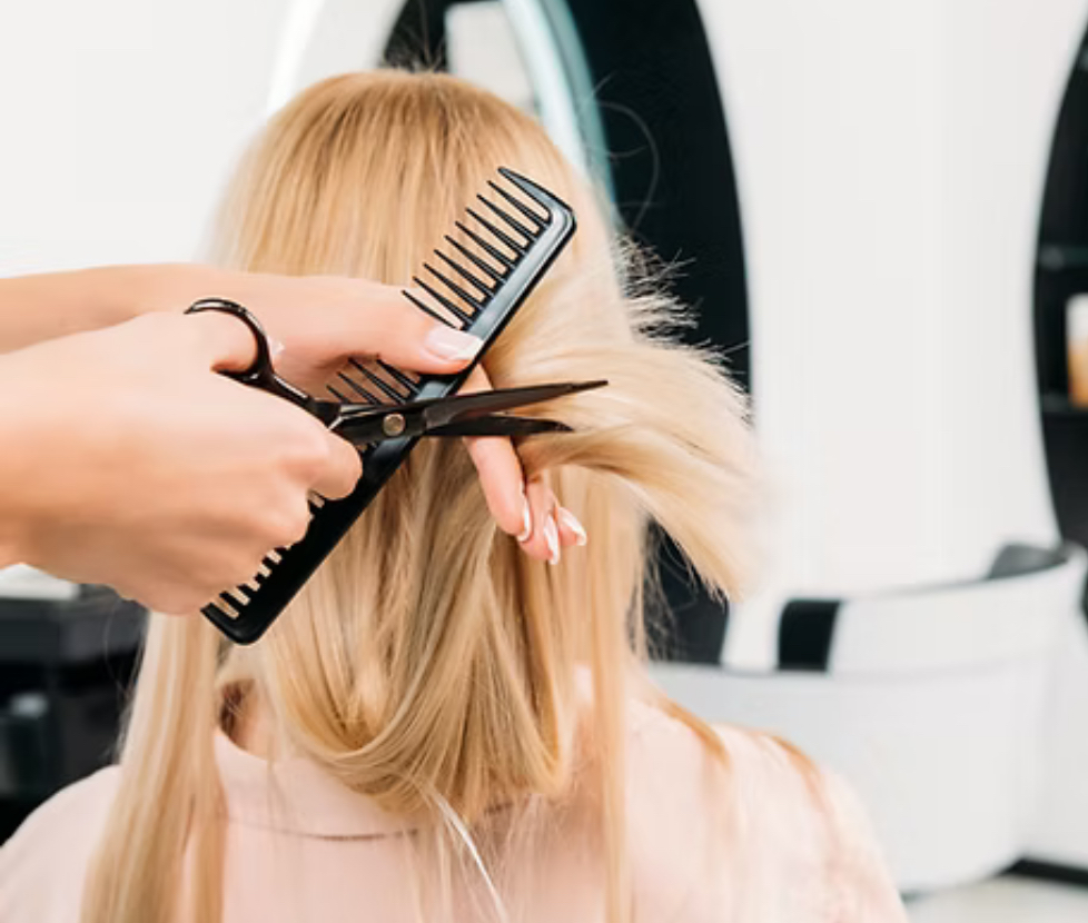 Dry Cut