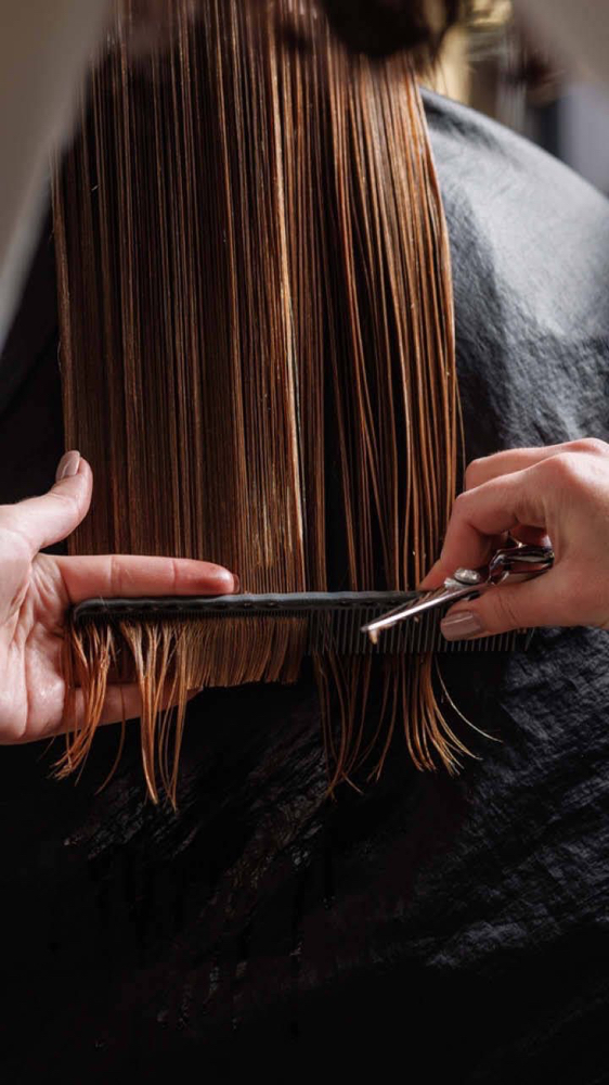 Haircut Only/ Corte de Pelo