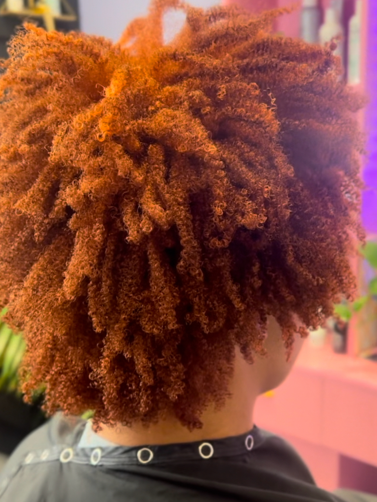Custom Curly Color at Amanda  Manley in Austin, TX