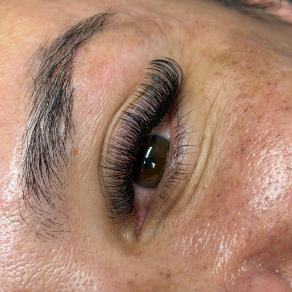 U lash Fill at HD Lashes in Southgate, MI