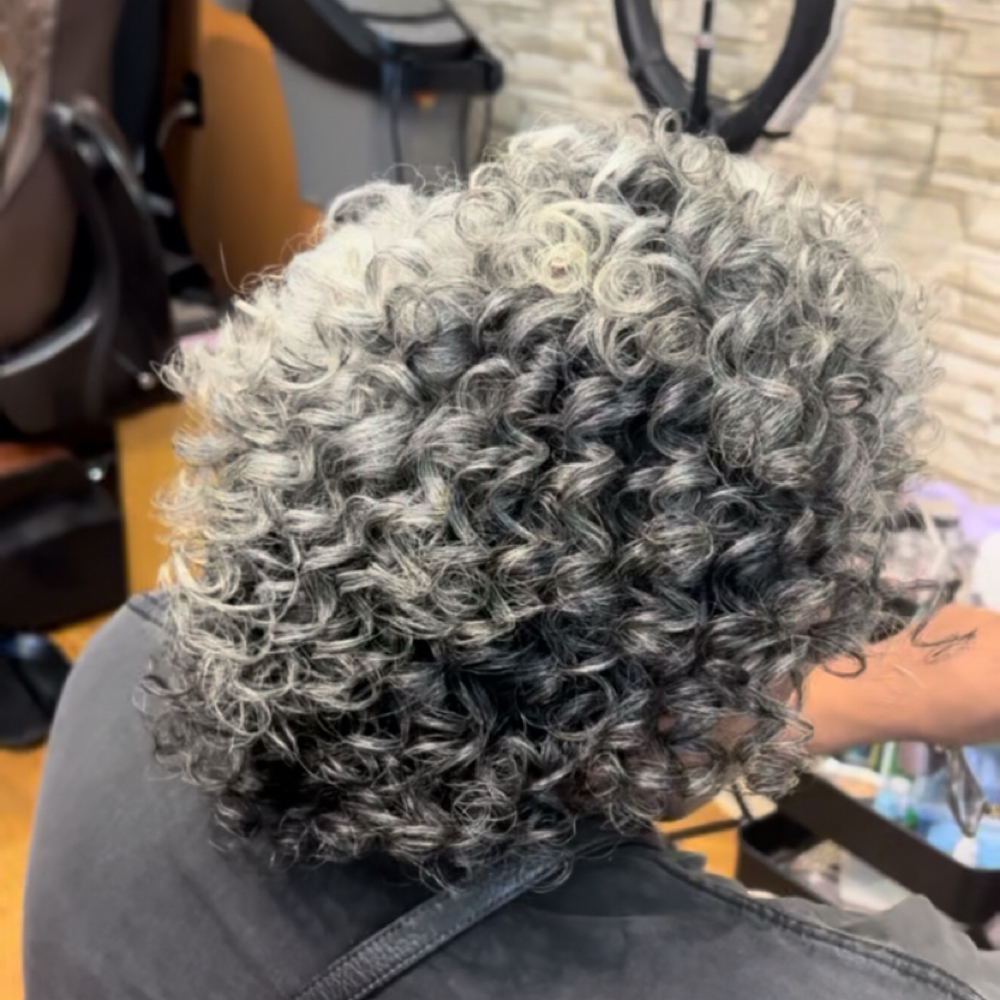 Flexi Rod Set at The Lena Nicole Experience in Berkley MI, MI