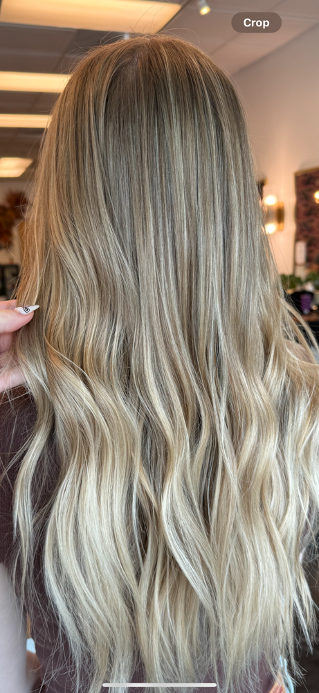 Partial Balayage + Haircut