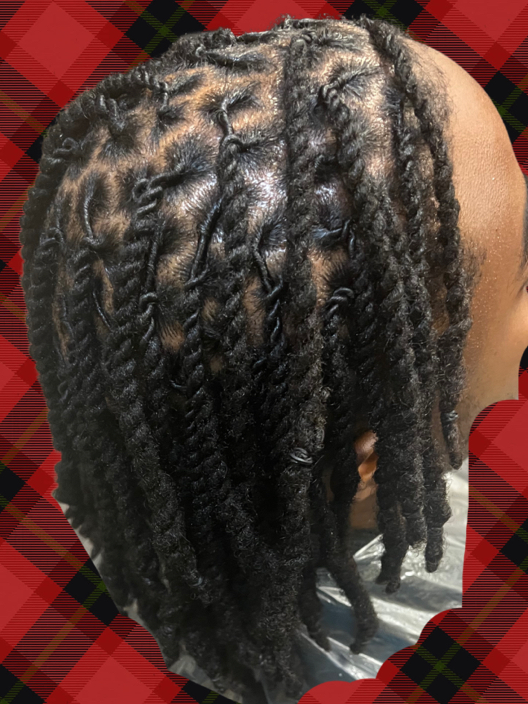 Two Strand Twists