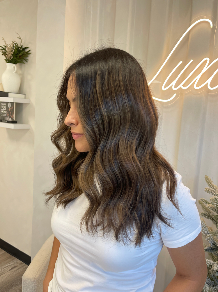 Dimensional Partial Blonding at Luxe and Mane Co in Spring, TX