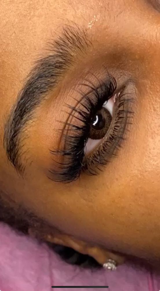 Bottom Lash Fill