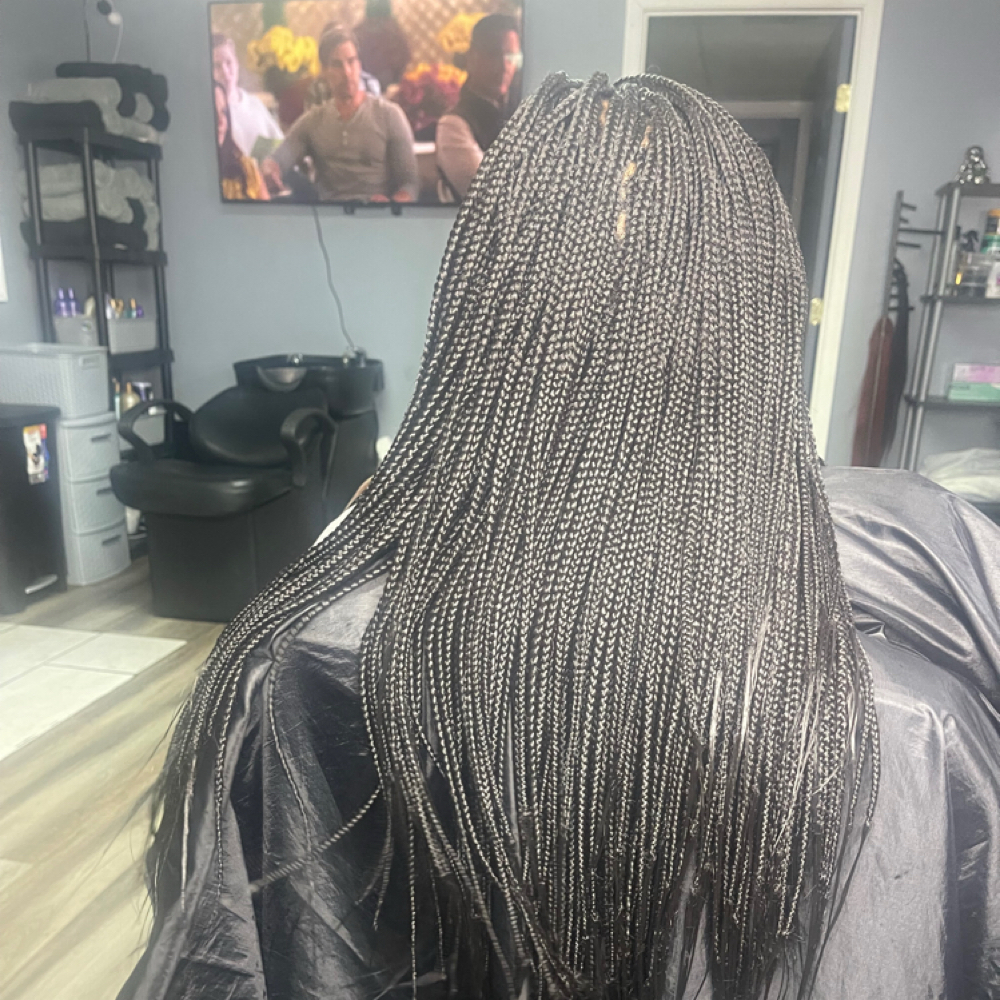 Small Box Braids at A Touch Of Class II in Farmville, VA