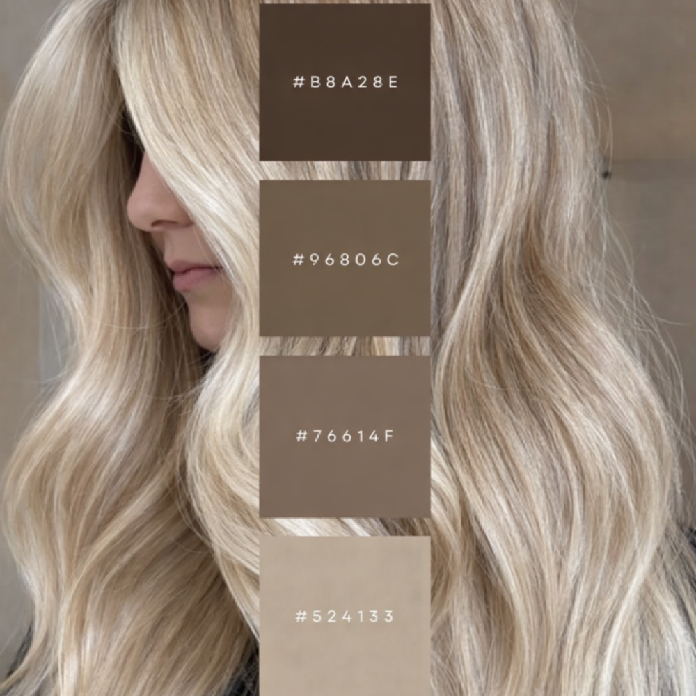 Balayage at Palette House in Lake Mary, FL