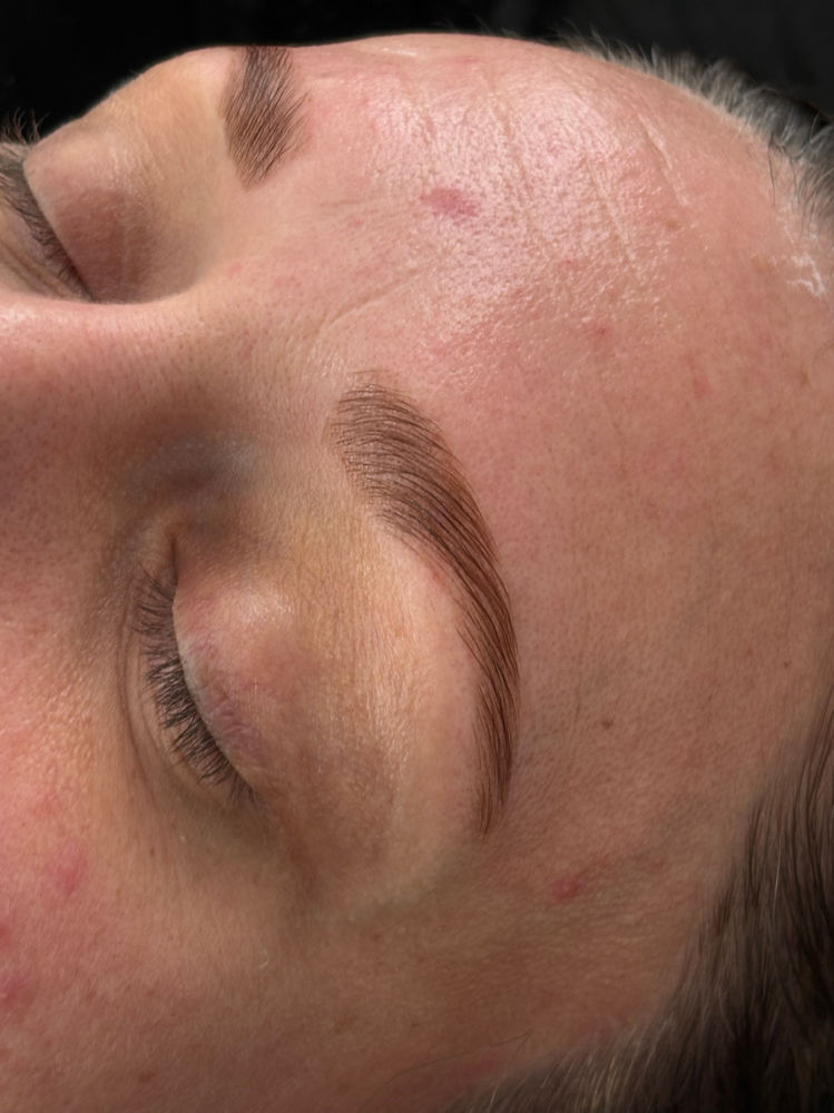 Eyebrow Lamination, Wax, and Tint