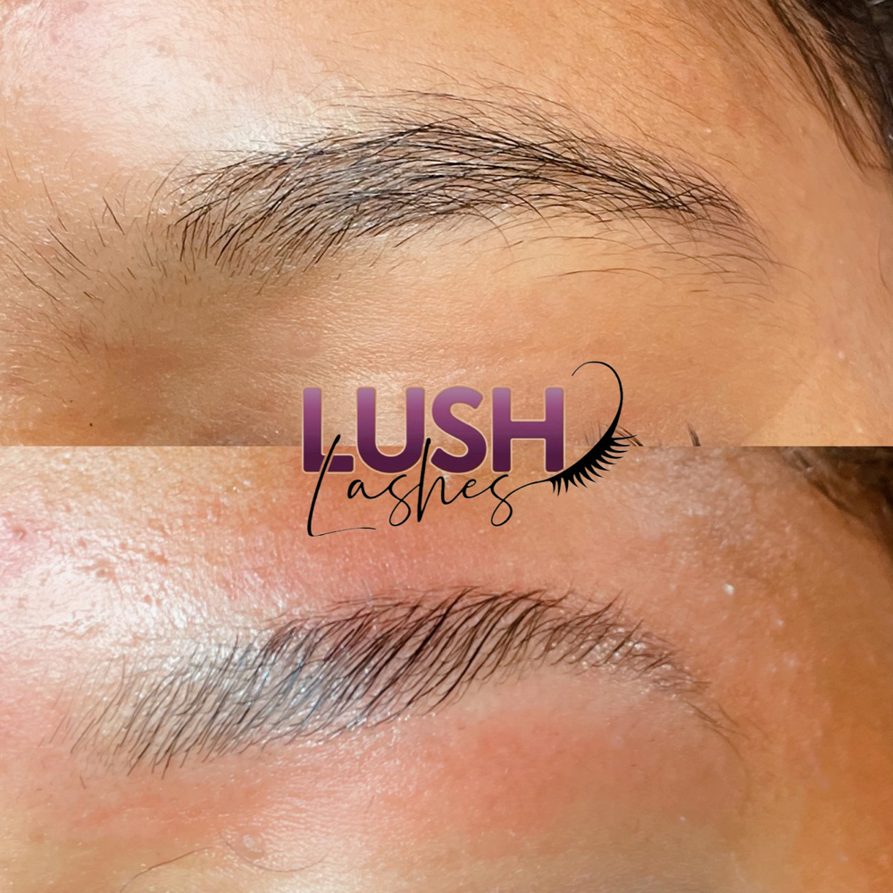 Eyebrow Lamination