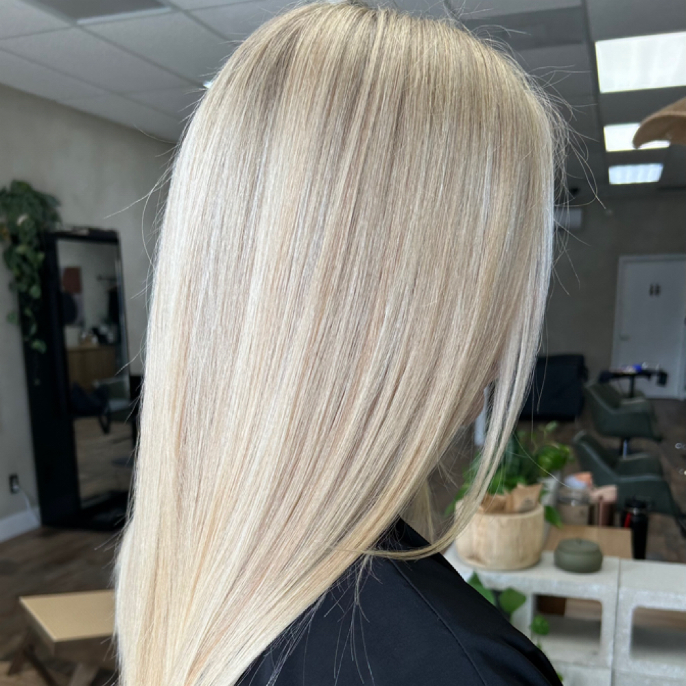 Full Highlight at Lola Mae in Winter Park, FL