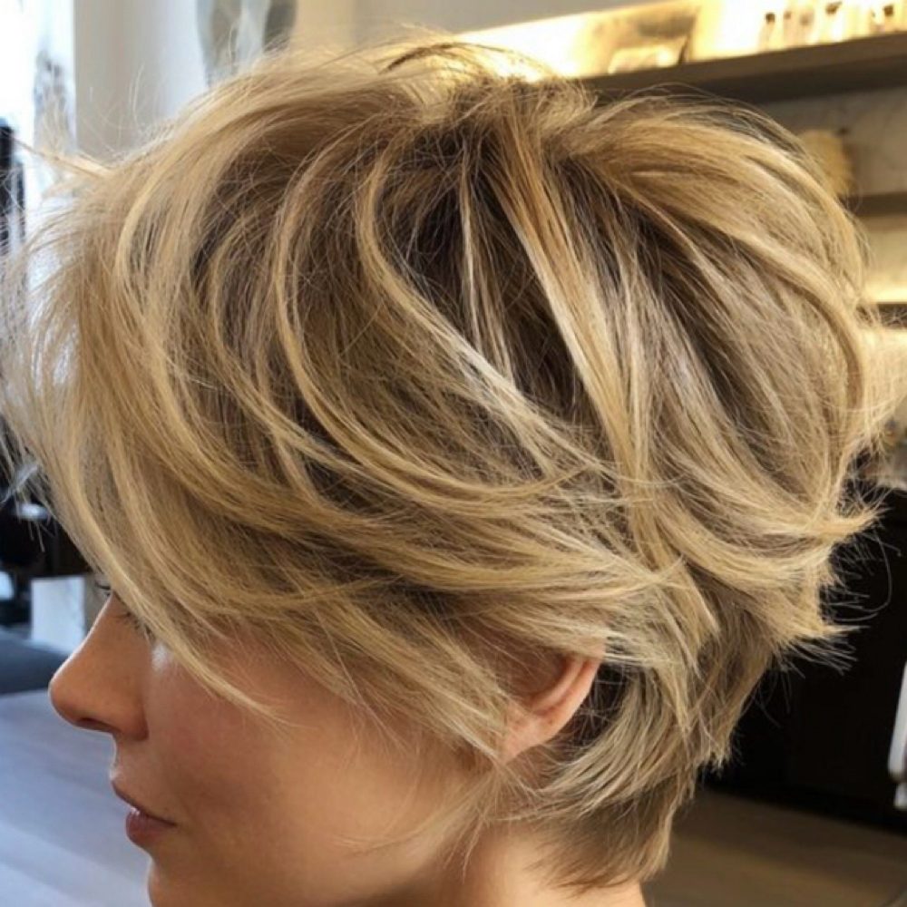 Short Hair HLT /ROOT Touchup at Wild Ivy Salon in Phoenix, AZ