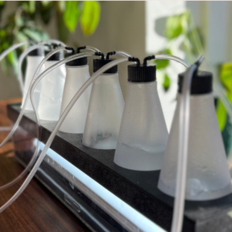 Oxygen Bar at Bronzed in Denver, CO