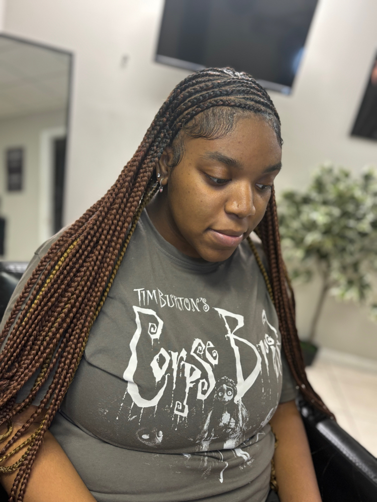 Med Braids And Knotless ( Midback )