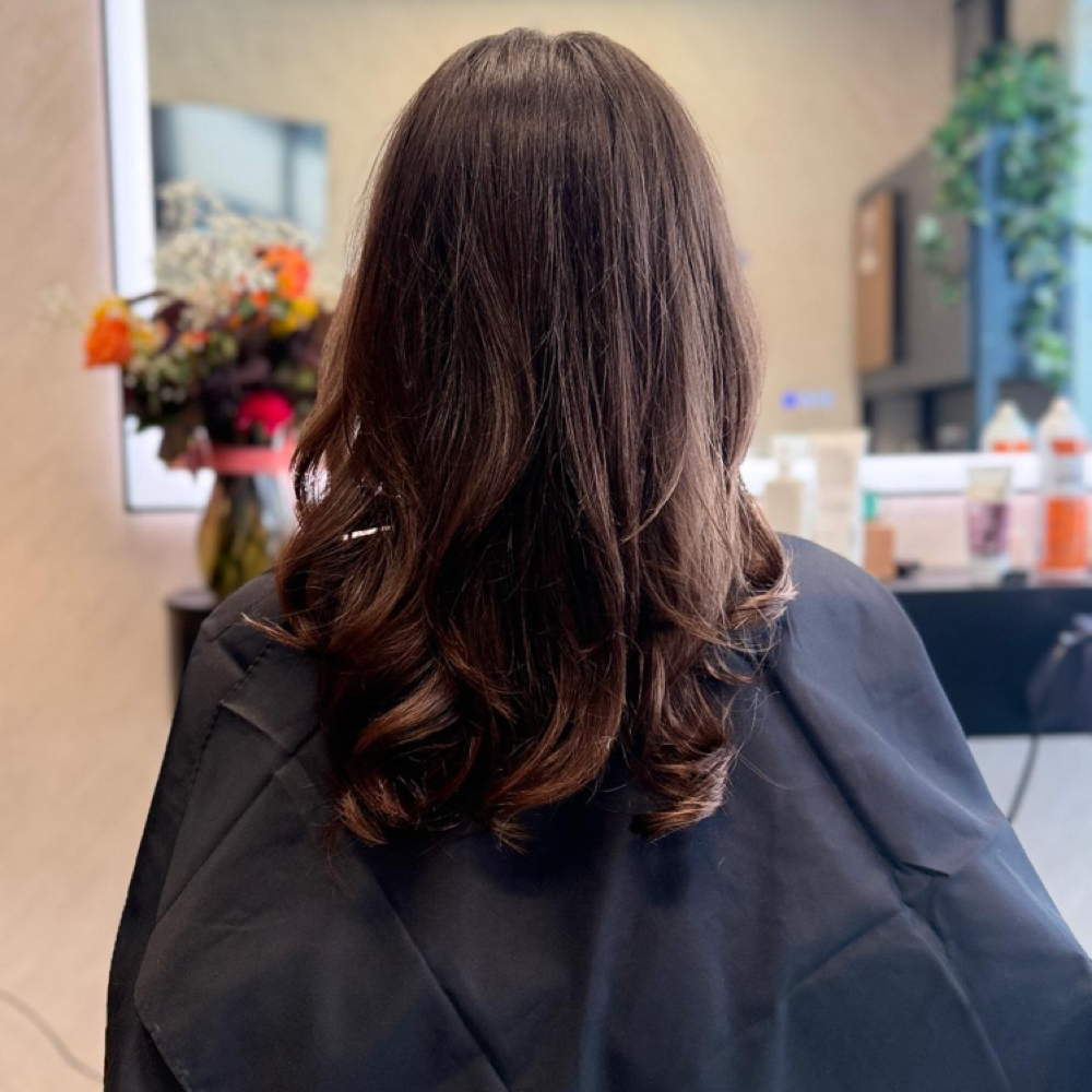 HAIRCUT (60 MIN) at Rabee's Salon in Lafayette, CO