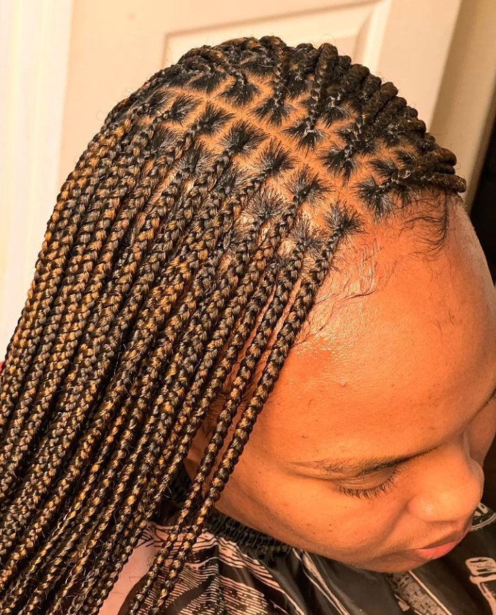 Xtra Small Knotless Braids