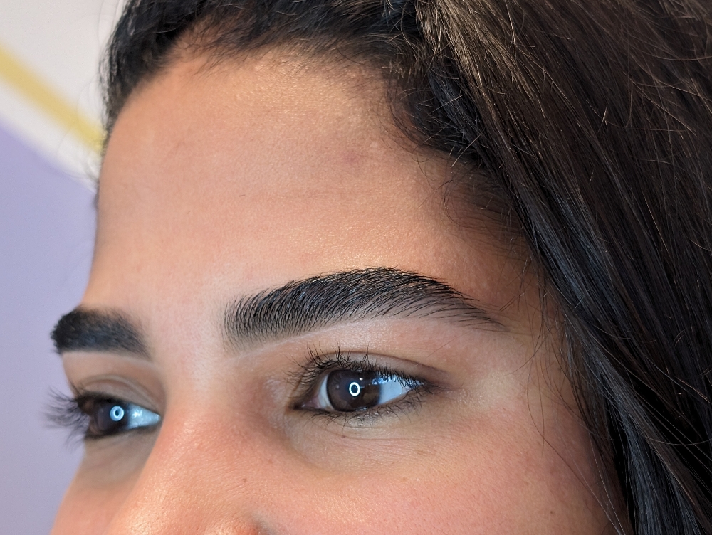 Timeless Brow Shape at The Brow Reserve in Davie, FL